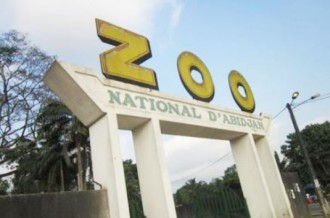 Côte dÂ’Ivoire : 613 millions de FCFA pour la réhabilitation et le repeuplement du zoo national dÂ’Abidjan